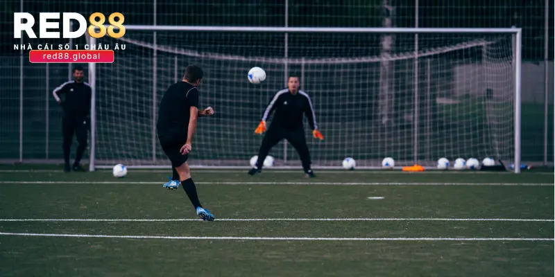 Cẩm nang chung về sân chơi thể thao RED88