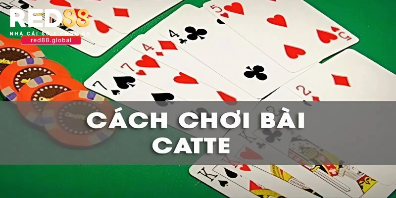 Sơ lược về tựa game bài Catte Online