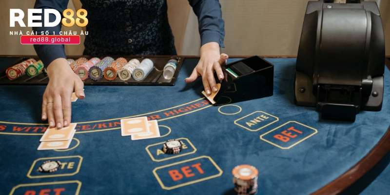 Công thức Baccarat bất khả chiến bại với cược đơn và cược ngang