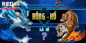 Game được khá nhiều cược thủ lựa chọn trải nghiệm
