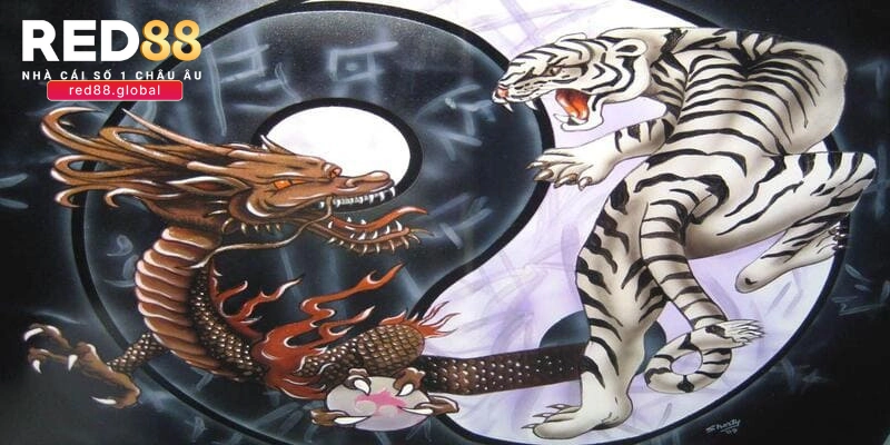 Áp dụng kinh nghiệm khi chơi rồng hổ