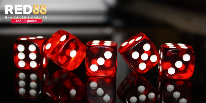 Lối đánh gối đầu – công phá từng nhịp sóng